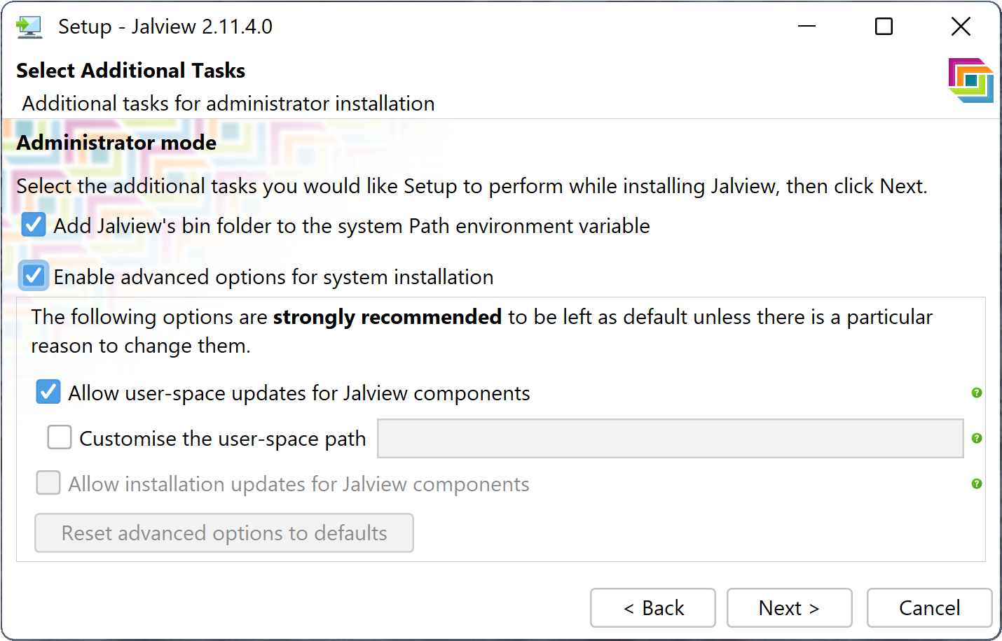 Screenshot of the Advanced options in the installer